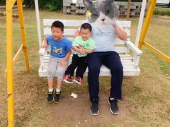 -前小桔亲子创意农场·草莓采摘·露营烧烤