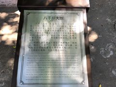 -闽粤南澳总镇府