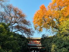 -灵谷景区