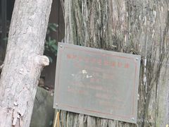 -草庵摩尼教遗址公园