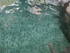 -奥帕拉拉水公园
