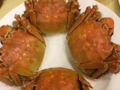 -王宝和酒家(黄浦店)