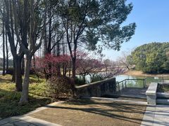 -尚贤河湿地