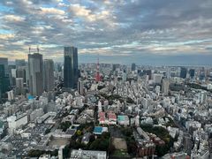 -六本木新城展望台(东京城市景观)