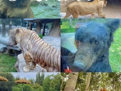 -北京野生动物园