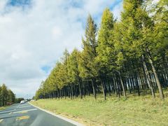 -塞罕坝国家级自然保护区