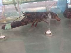 -兄弟爬爬虾(北京路店)