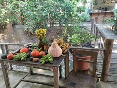 -Meena Rice Based Cuisine