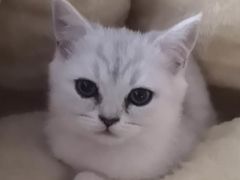 -太原东方动物医院(小店分院)