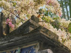 -深圳国际园林花卉博览园