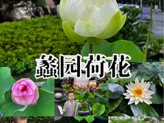 -无锡蠡湖国家湿地公园-蠡园