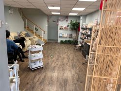 -摩睫+皮肤管理·科学美容中心