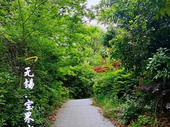 -宝界山林公园