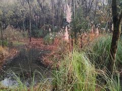 -西湖风景区-江洋畈生态公园