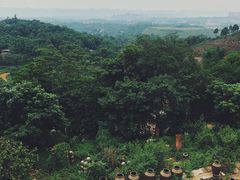 -远山有窑