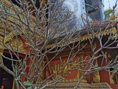 -西双版纳总佛寺