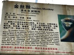-南昌动物园