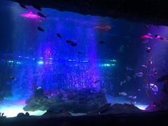 -沈阳海洋探索中心