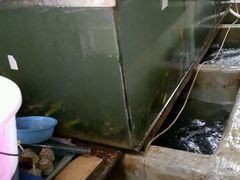 -谭记石锅鱼府(三道堰店)