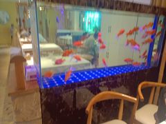 -原鄉本味 楚菜 丹江口鱼(北苑店)