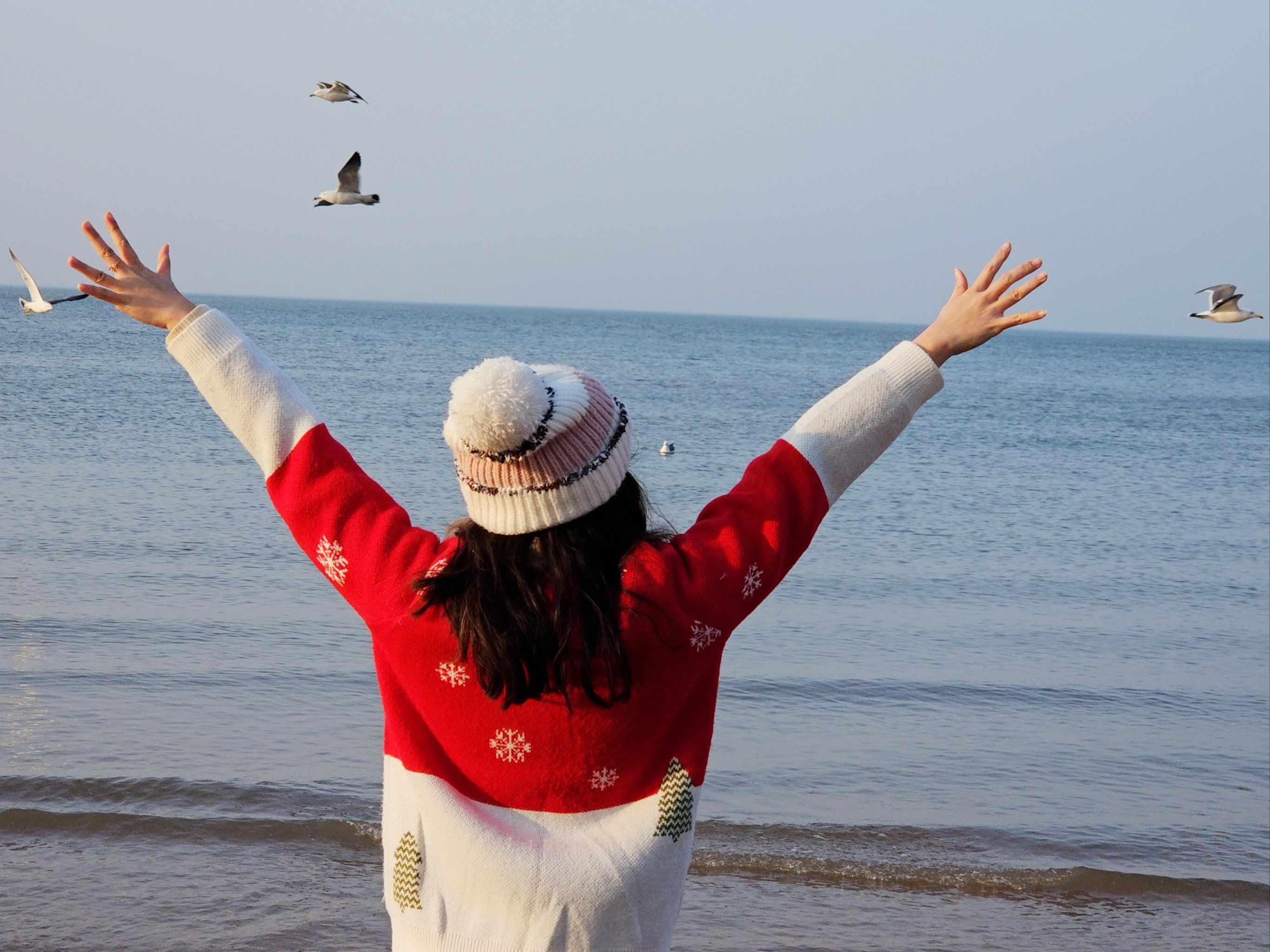 面朝大海,春暖花开