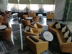-深圳温德姆至尊酒店·大堂吧·户外花园