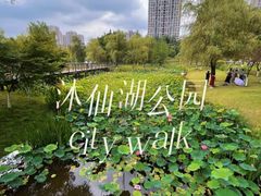 -沐仙湖湿地公园