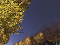 -武汉马哥孛罗酒店