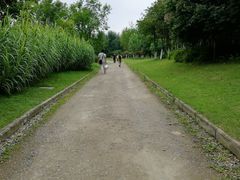 -白鹭湾湿地公园