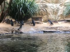 -悉尼海洋生物水族馆