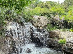 -北京西山国家森林公园