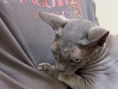 -美联众合24小时·皮肤科·外科·全科诊疗中心(华苑分院)