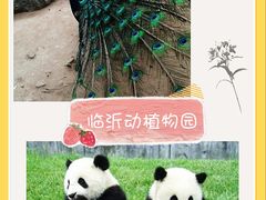 -临沂动植物园