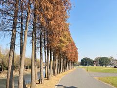 -上海月湖雕塑公园
