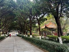 -南岳大庙