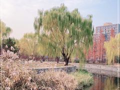 -元大都城垣遗址公园