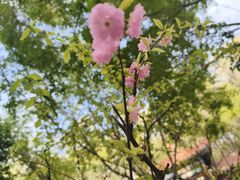 -水磨沟公园