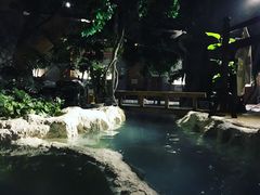 -中铁花水湾四季温泉谷