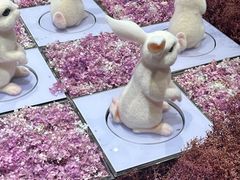 -中福百货(望京店)