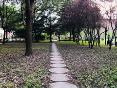 -上海财经大学(国定路校区)