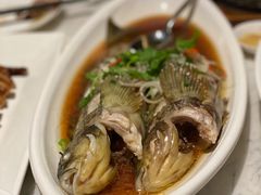 -青雅中餐厅(大连金石滩绿发希尔顿度假酒店)