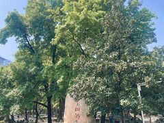 -中山公园(石岐街道)