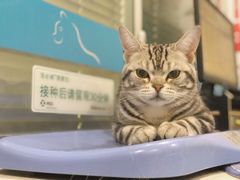 -美迦爱-牙专科·兔科·骨科诊疗中心(北苑店)
