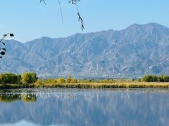 -野鸭湖国家湿地公园