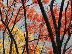 -叠溪松坪沟景区