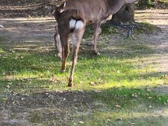 -养云安缦吧THE BAR