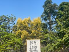 -丹樱生态园