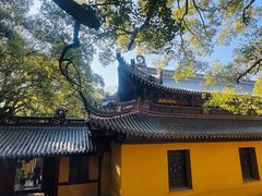 -普陀山风景名胜区-法雨禅寺