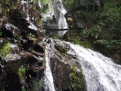 -藏龙百瀑风景区