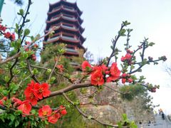 -象山森林公园
